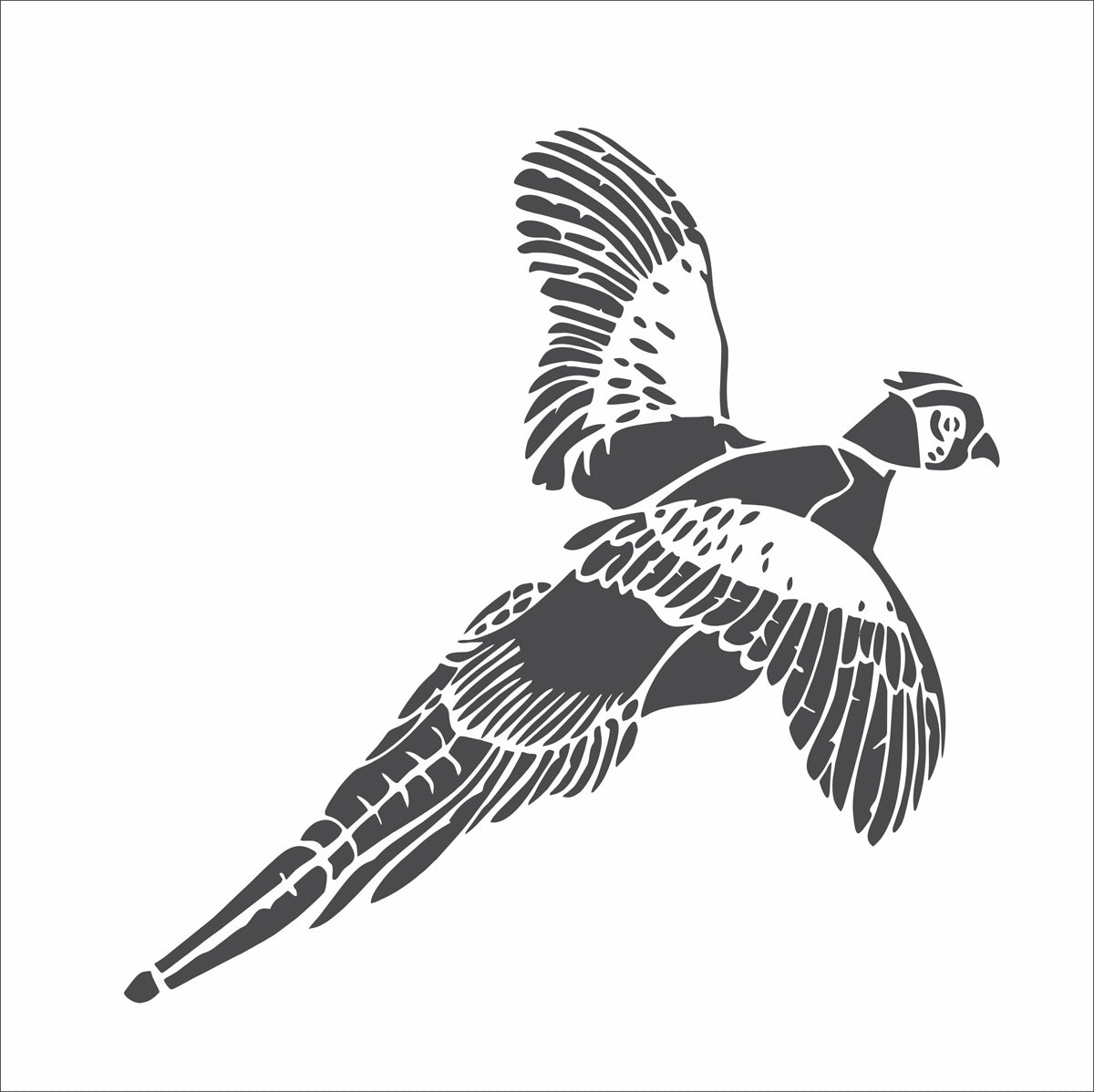 Pheasant Stencil - Create Pheasant Wall Art - Cabin Signs