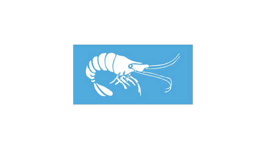 Shrimp Stencil - Superior Stencils