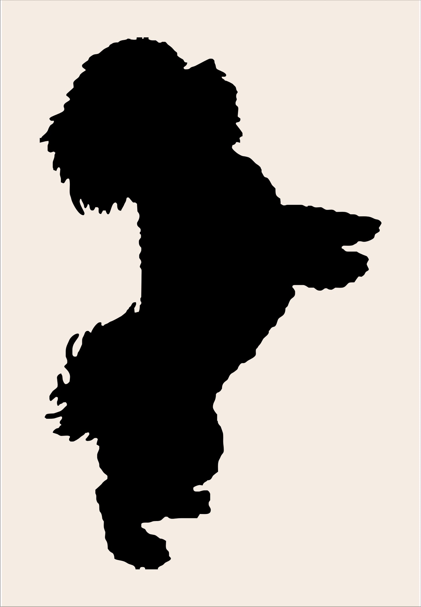 Bichon Dog Stencil - Superior Stencils