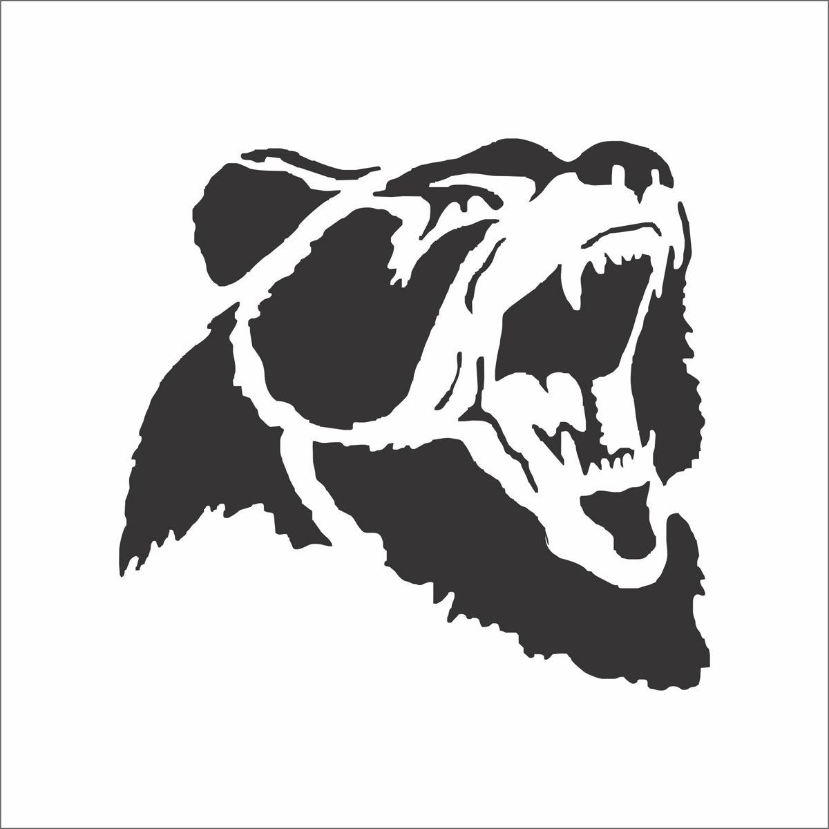 Grizzly Bear Stencil - Superior Stencils