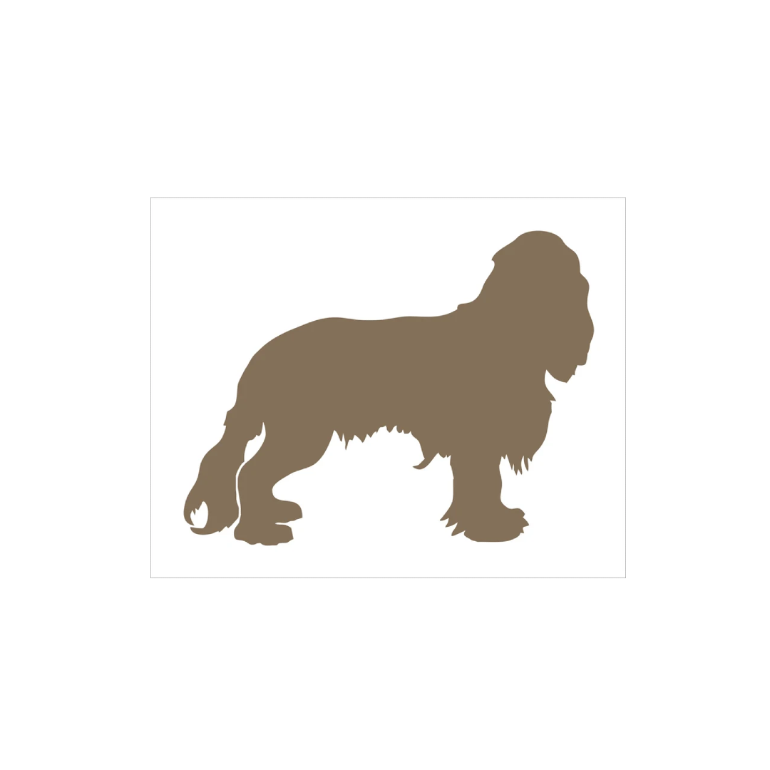 Cavalier King Charles Dog Stencil - Superior Stencils