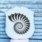 Nautilus Shell Stencil - Shell Stencil - Create Beach Pillows, Beach Signs, Lake Signs - Superior Stencils