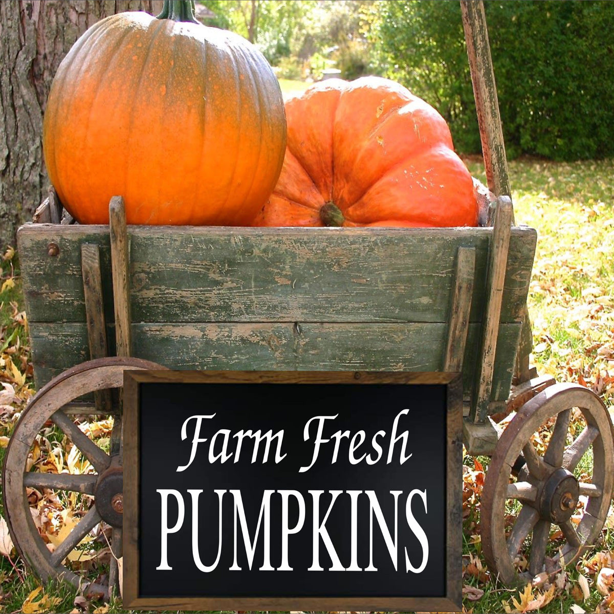 Farm Fresh Pumpkins Stencil - Superior Stencils
