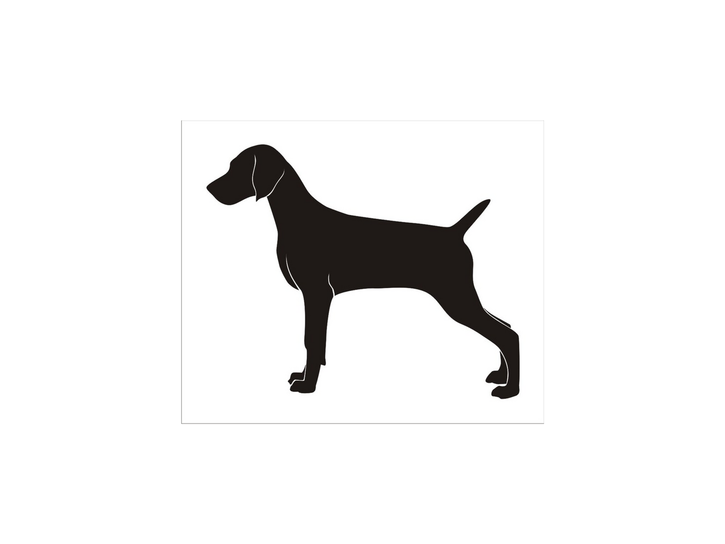 Weimaraner Dog Standing Stencil - Superior Stencils