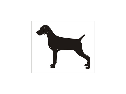 Weimaraner Dog Standing Stencil - Superior Stencils
