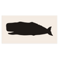 Whale Stencil - Superior Stencils